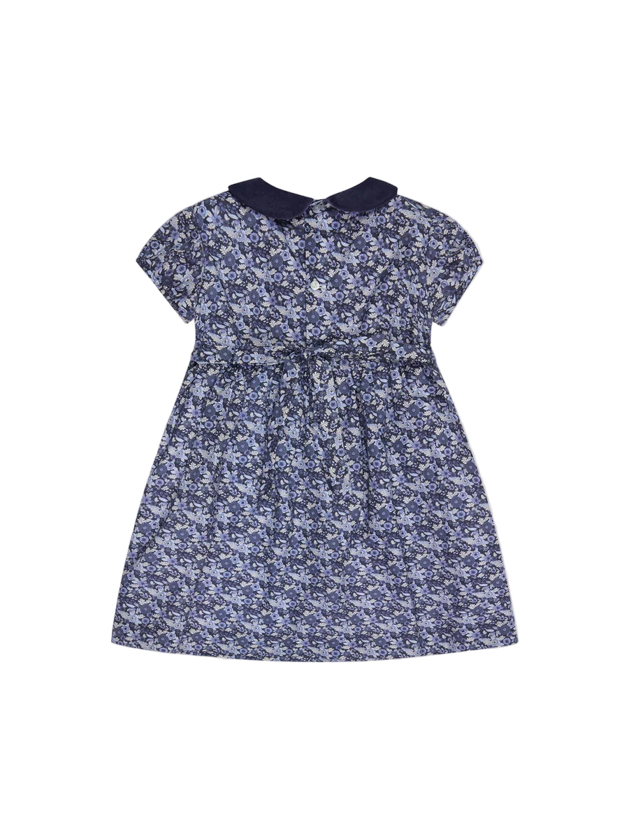 arcadia smocked dress
