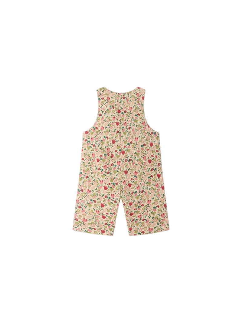 malexandre overall