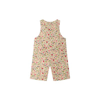 malexandre overall