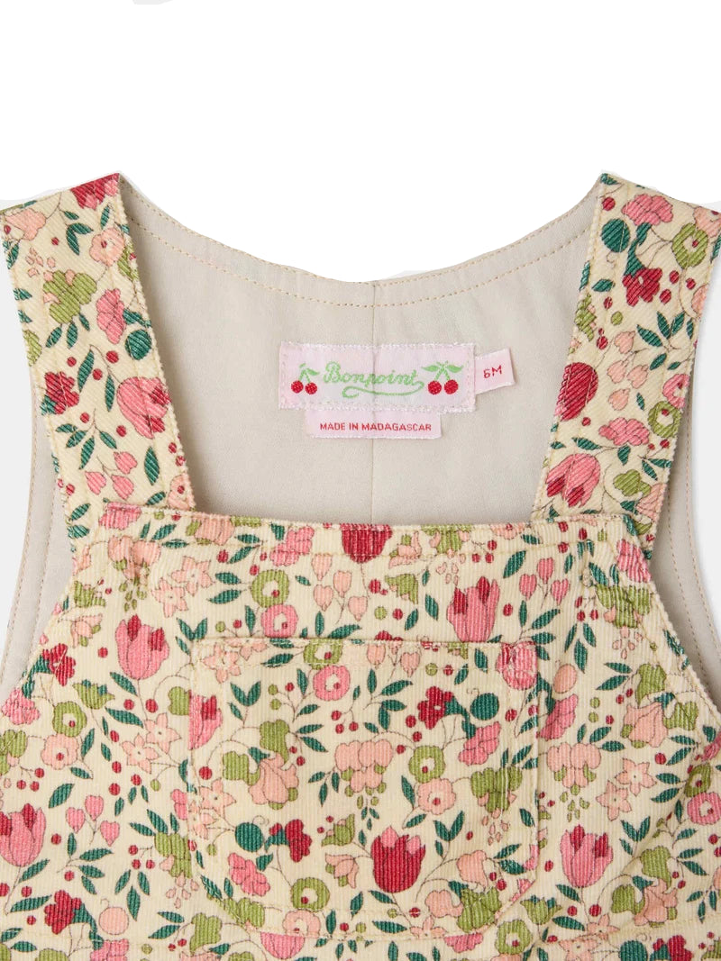 malexandre overall