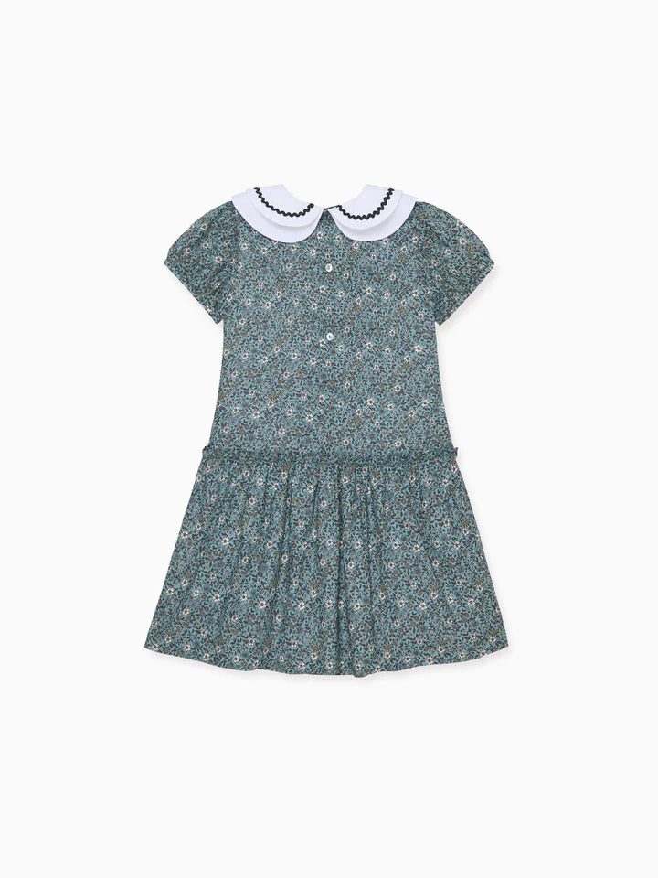 xana dress