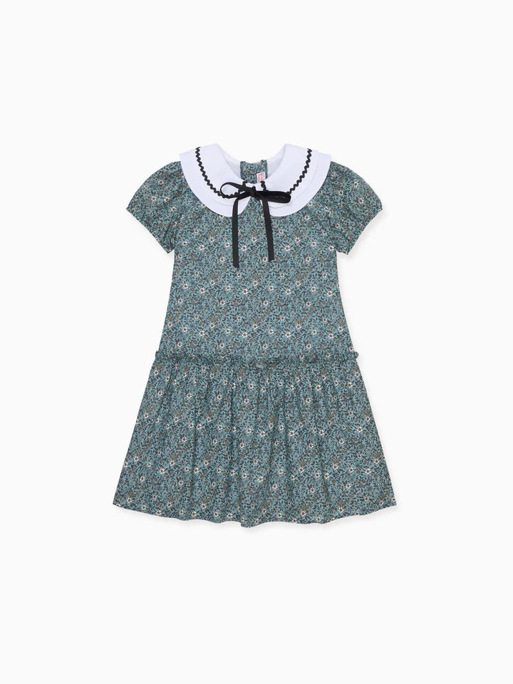 xana dress