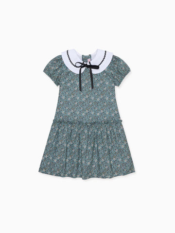 xana dress