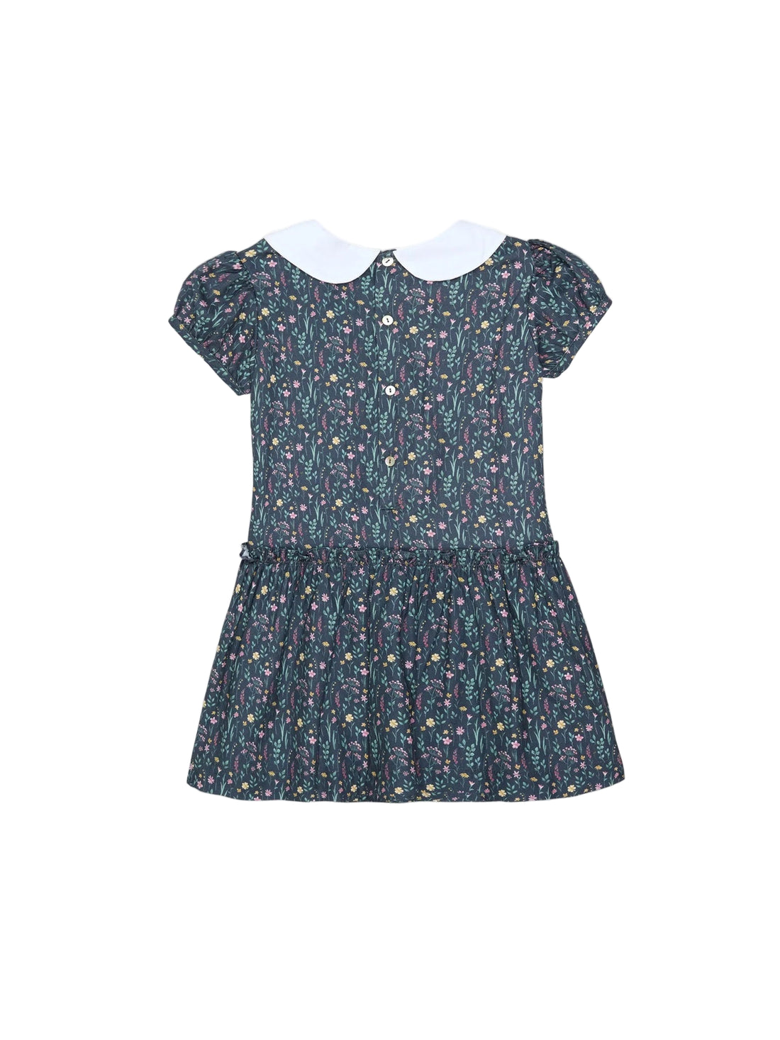 xana drop waist dress