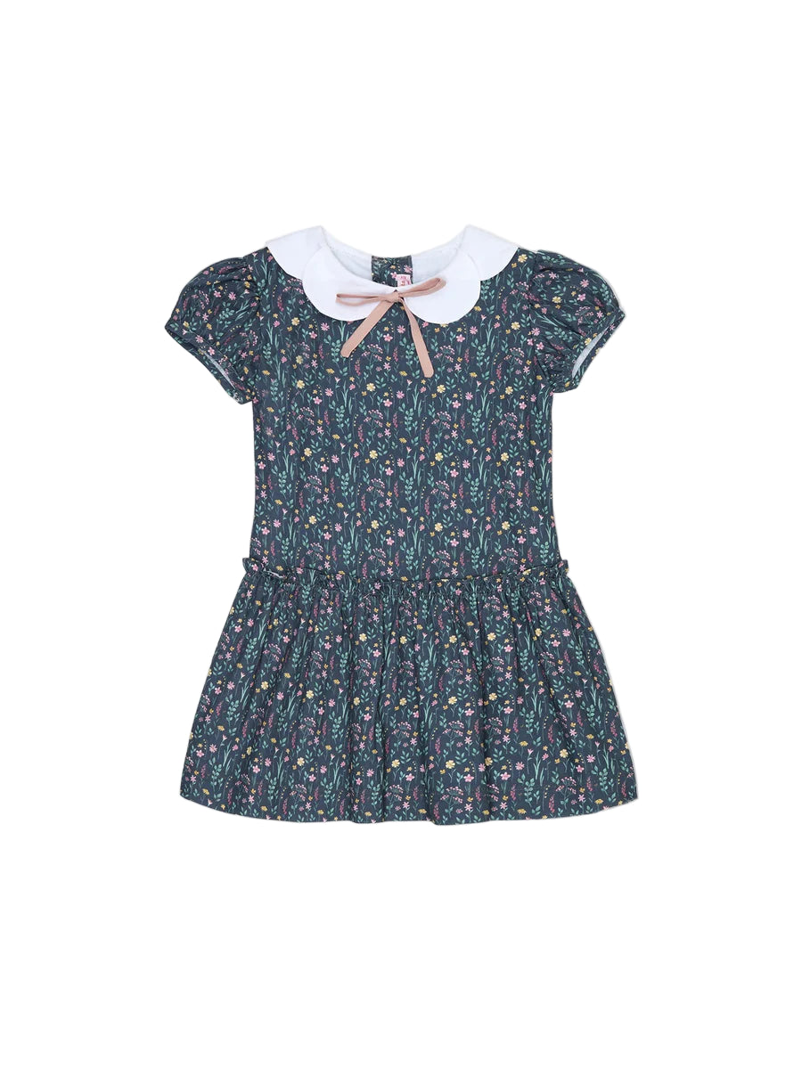 xana drop waist dress