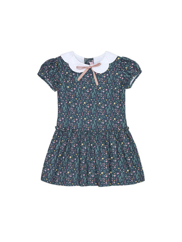 xana drop waist dress