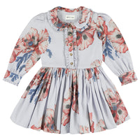 rio collared button front dress