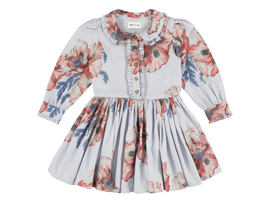 rio collared button front dress