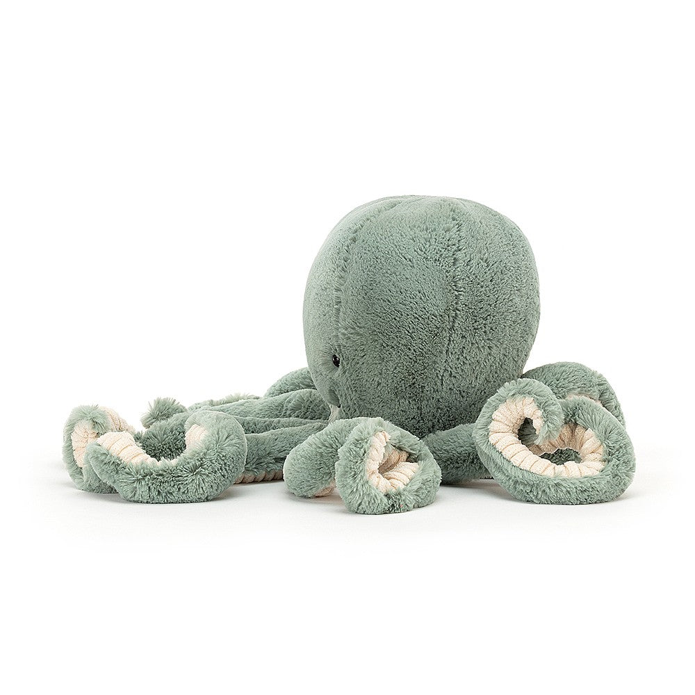 odyssey octopus bb