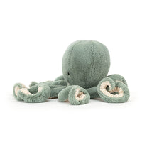 odyssey octopus bb