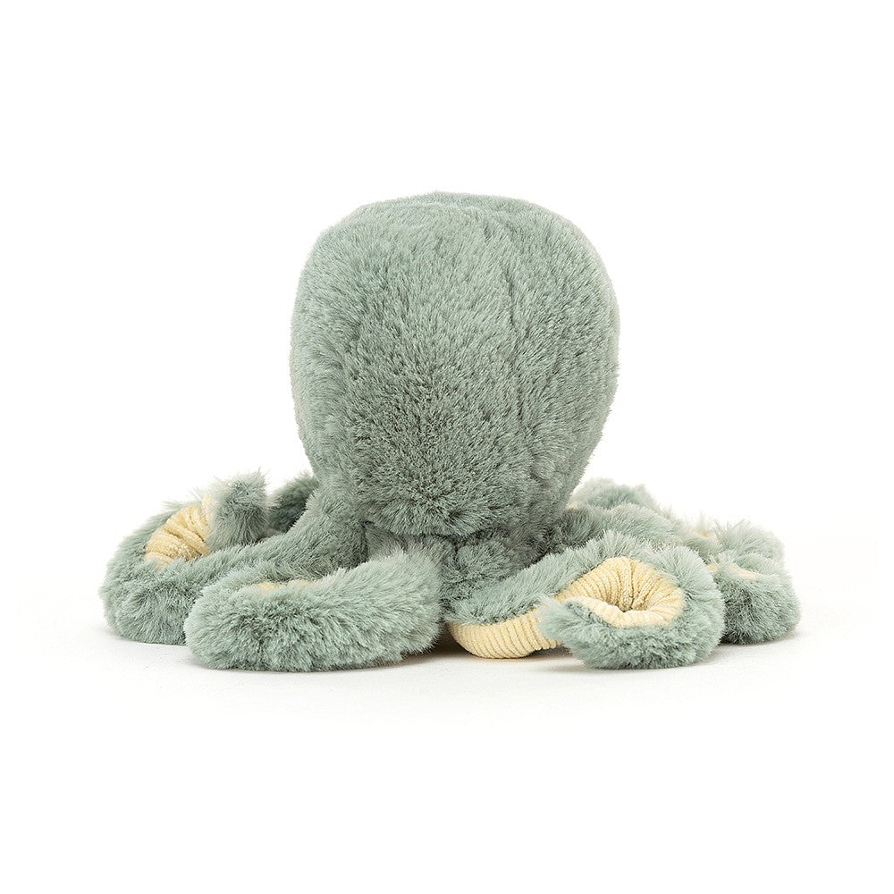 odyssey octopus bb