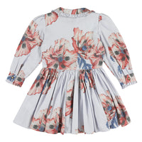 rio collared button front dress