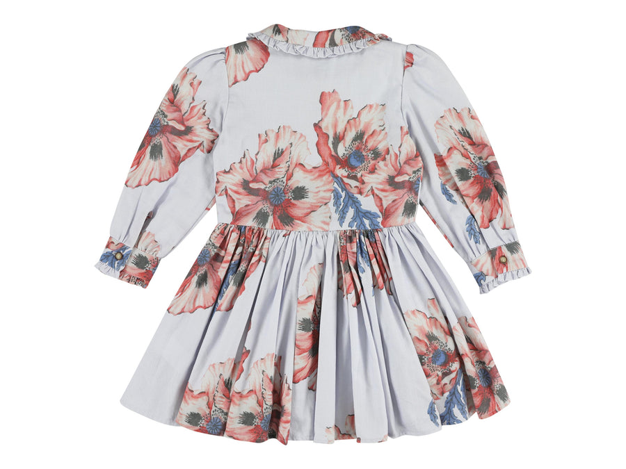 rio collared button front dress