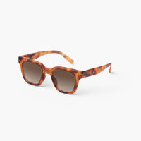 bp sunglasses glossy havane 7-11y