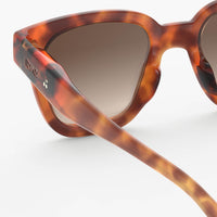 bp sunglasses glossy havane 7-11y