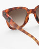 bp sunglasses glossy havane 7-11y