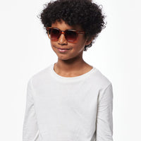 bp sunglasses glossy havane 7-11y