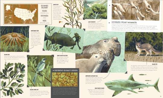 national parks of the usa book