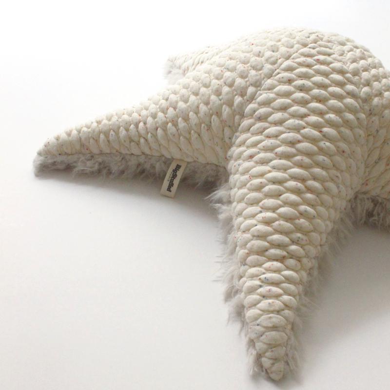 the small sea star