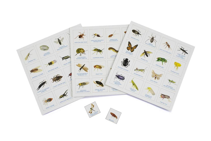 bug bingo