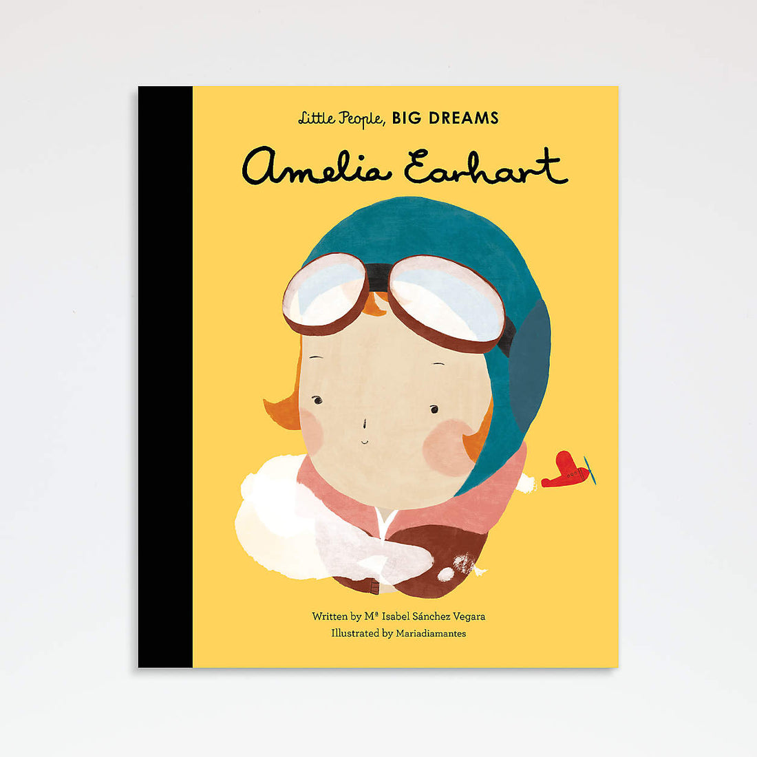 amelia earhart book