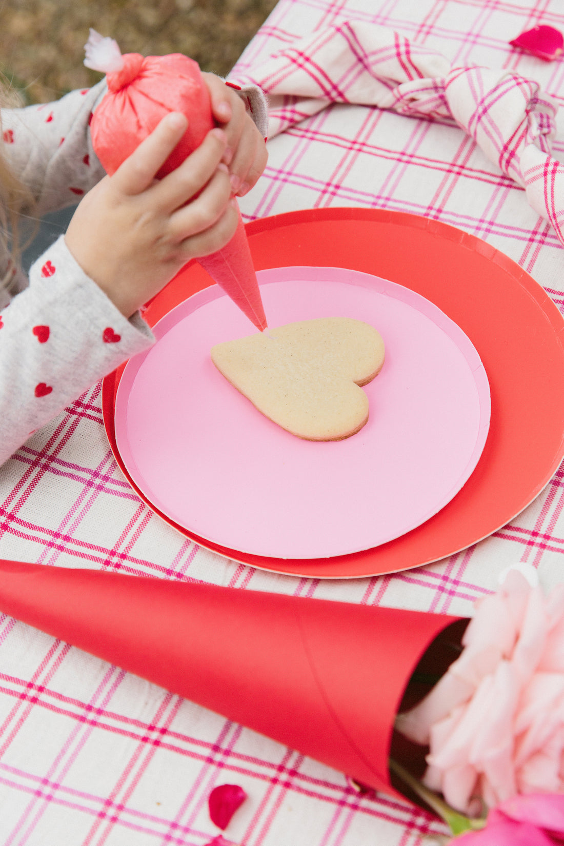 valentines cookie decorating kit