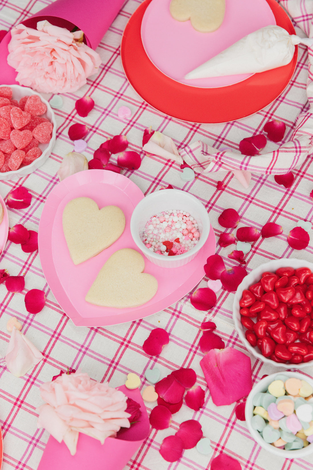 valentines cookie decorating kit