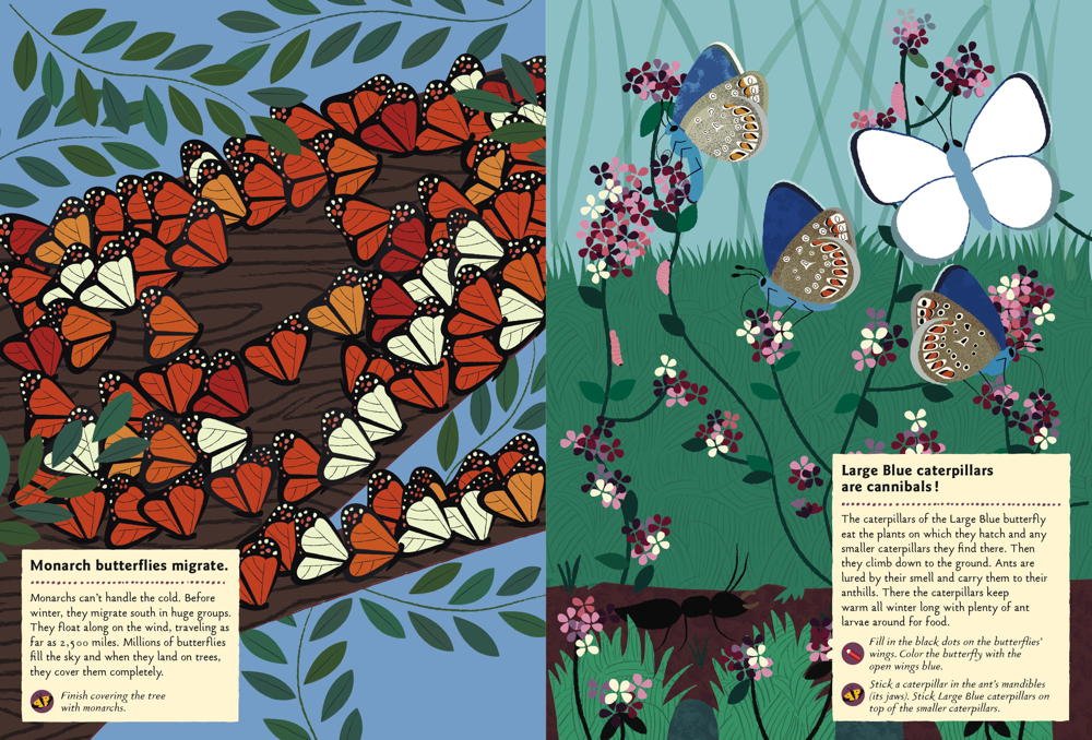 my nature sticker activity: butterflies of the world