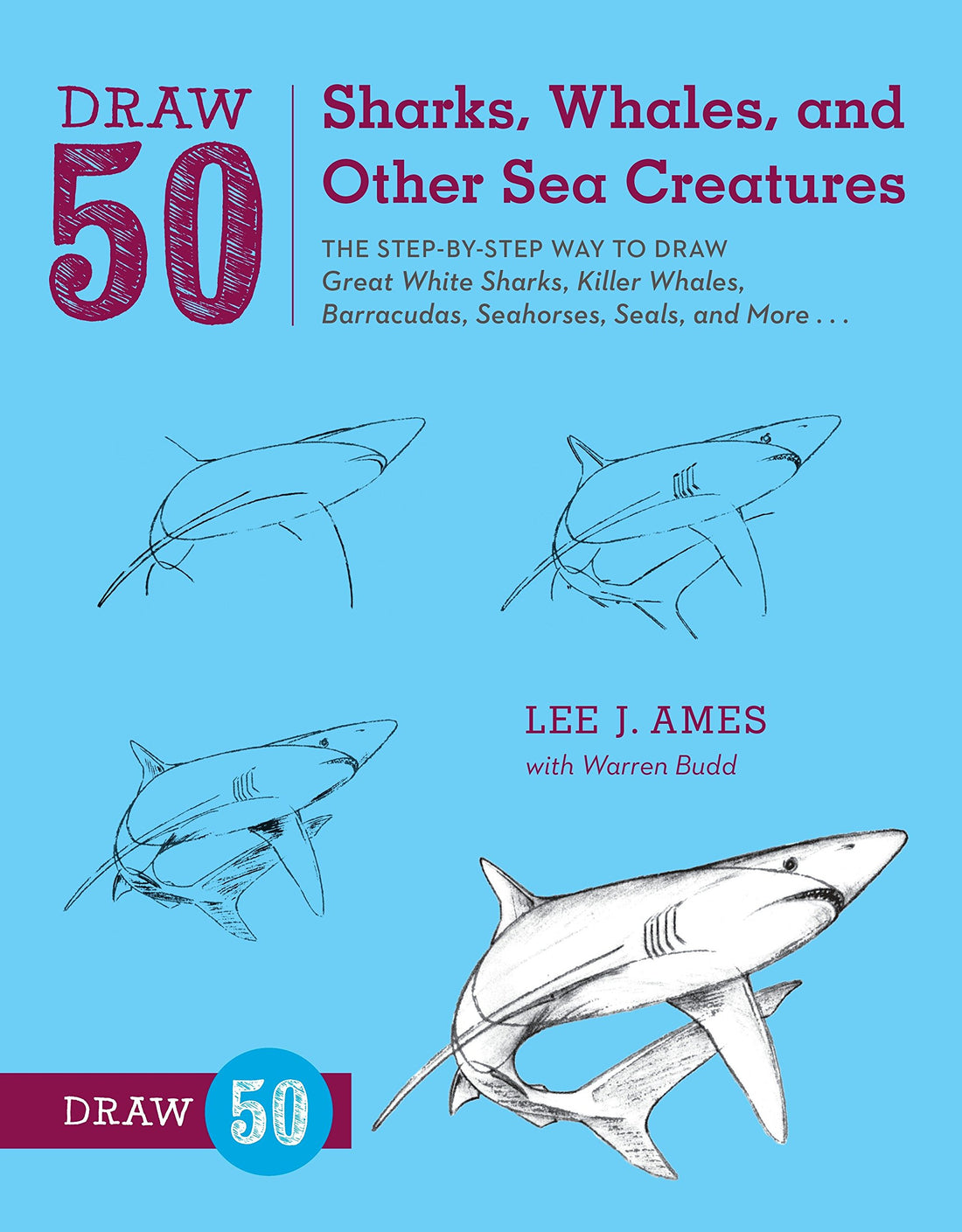 draw 50 sharks, whales, and other sea creatures