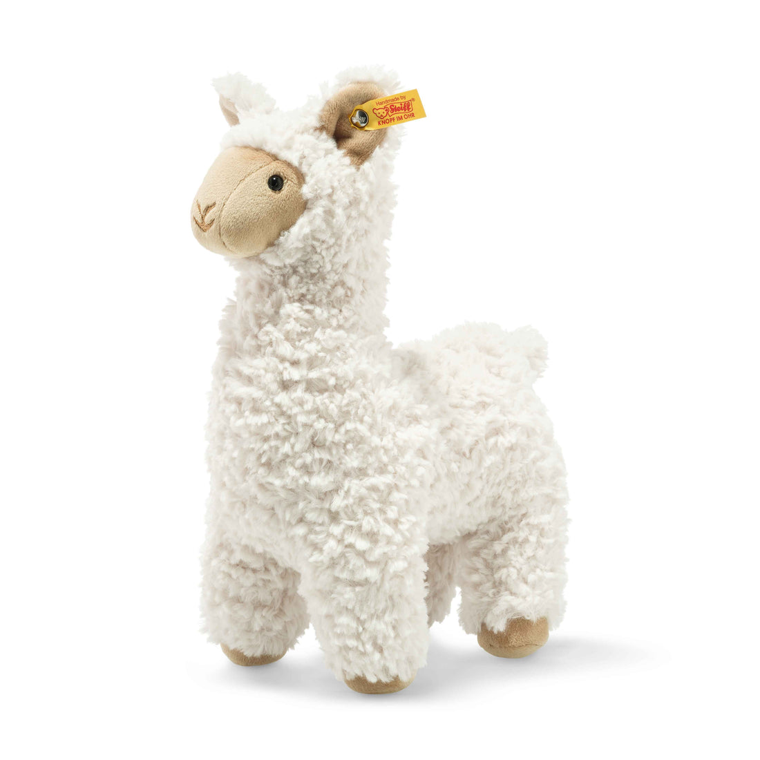 leandro llama