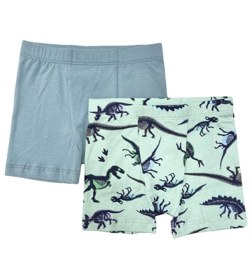 2-pack fossil boxers
