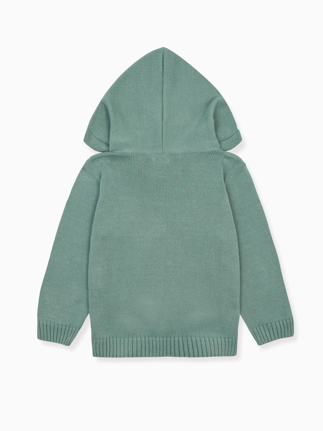 boys leo hoodie jumper sage