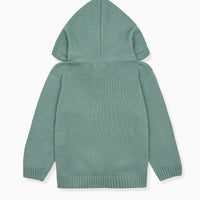 boys leo hoodie jumper sage