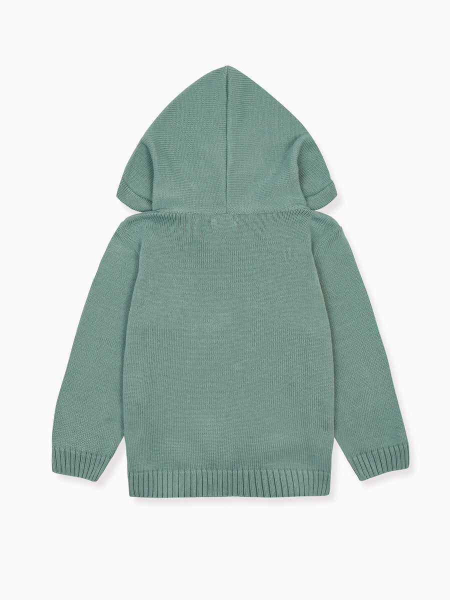 boys leo hoodie jumper sage