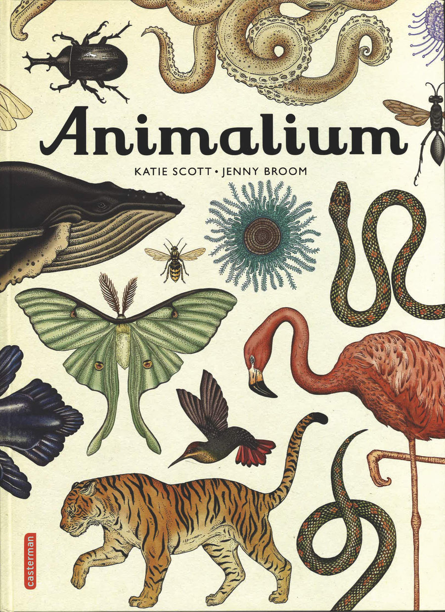 animalium