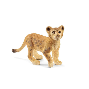lion cub