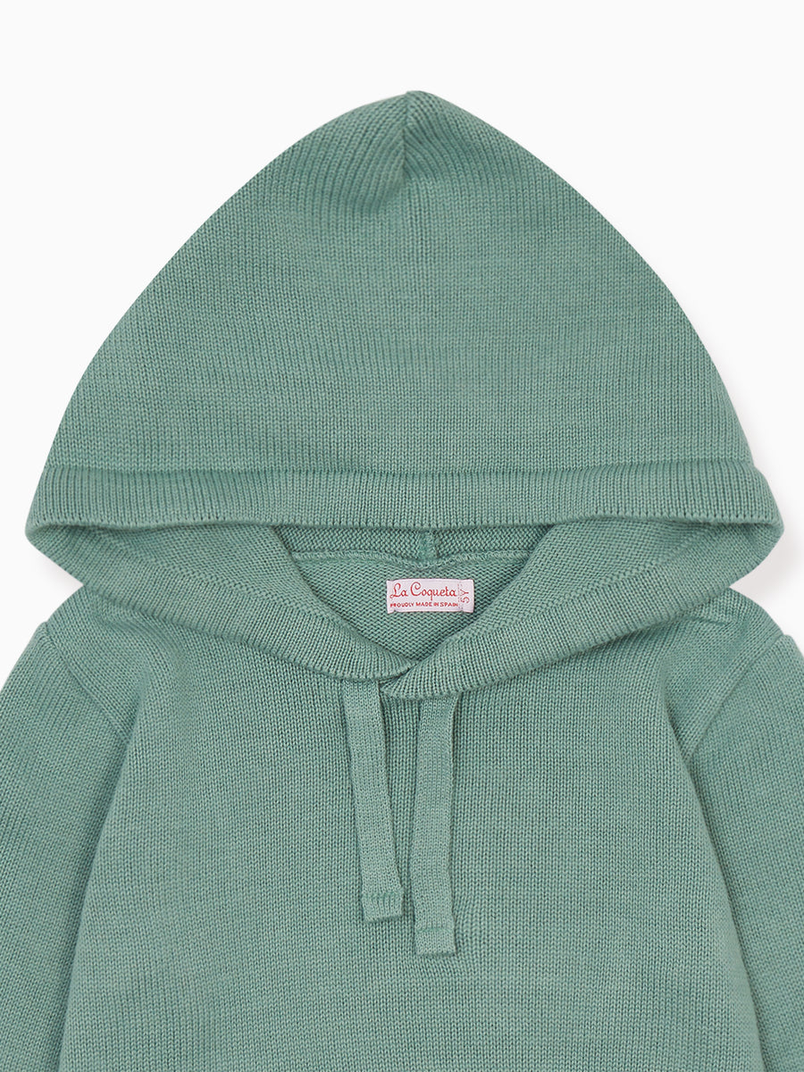 boys leo hoodie jumper sage