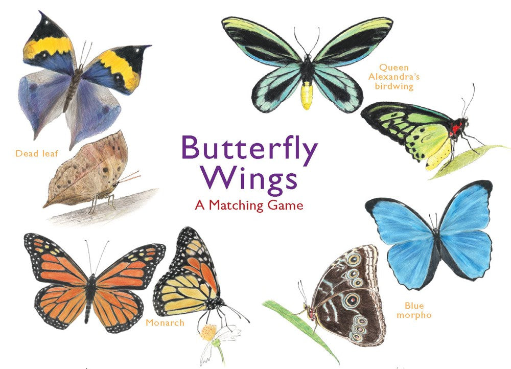 butterfly wings matching game