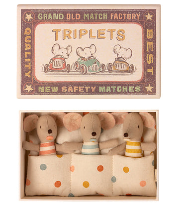 triplets baby mice in matchbox