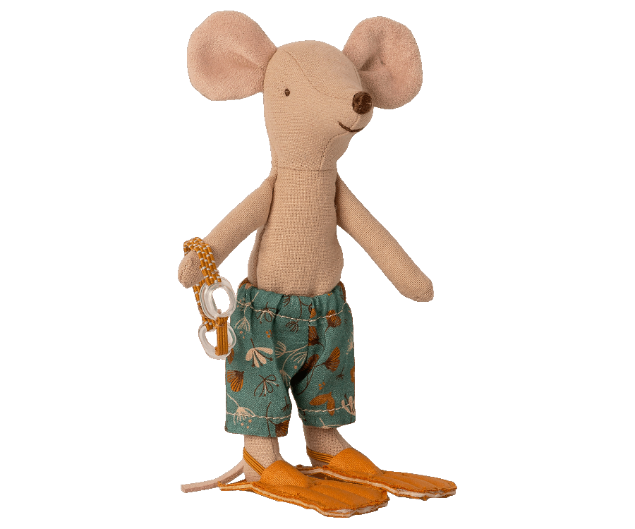 big brother beach mouse in cabin