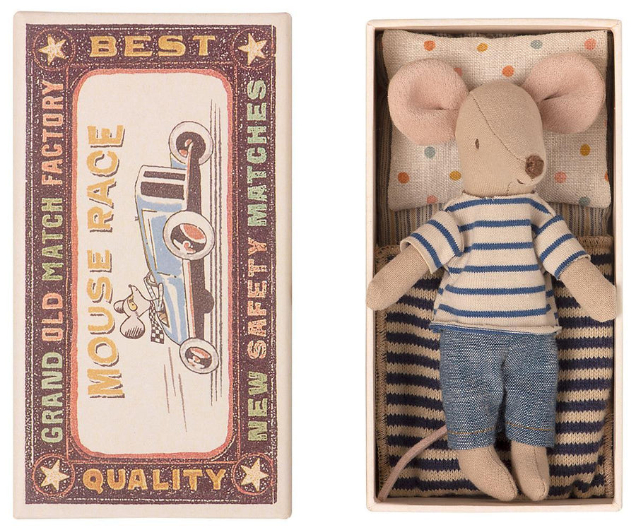 big brother mouse in box