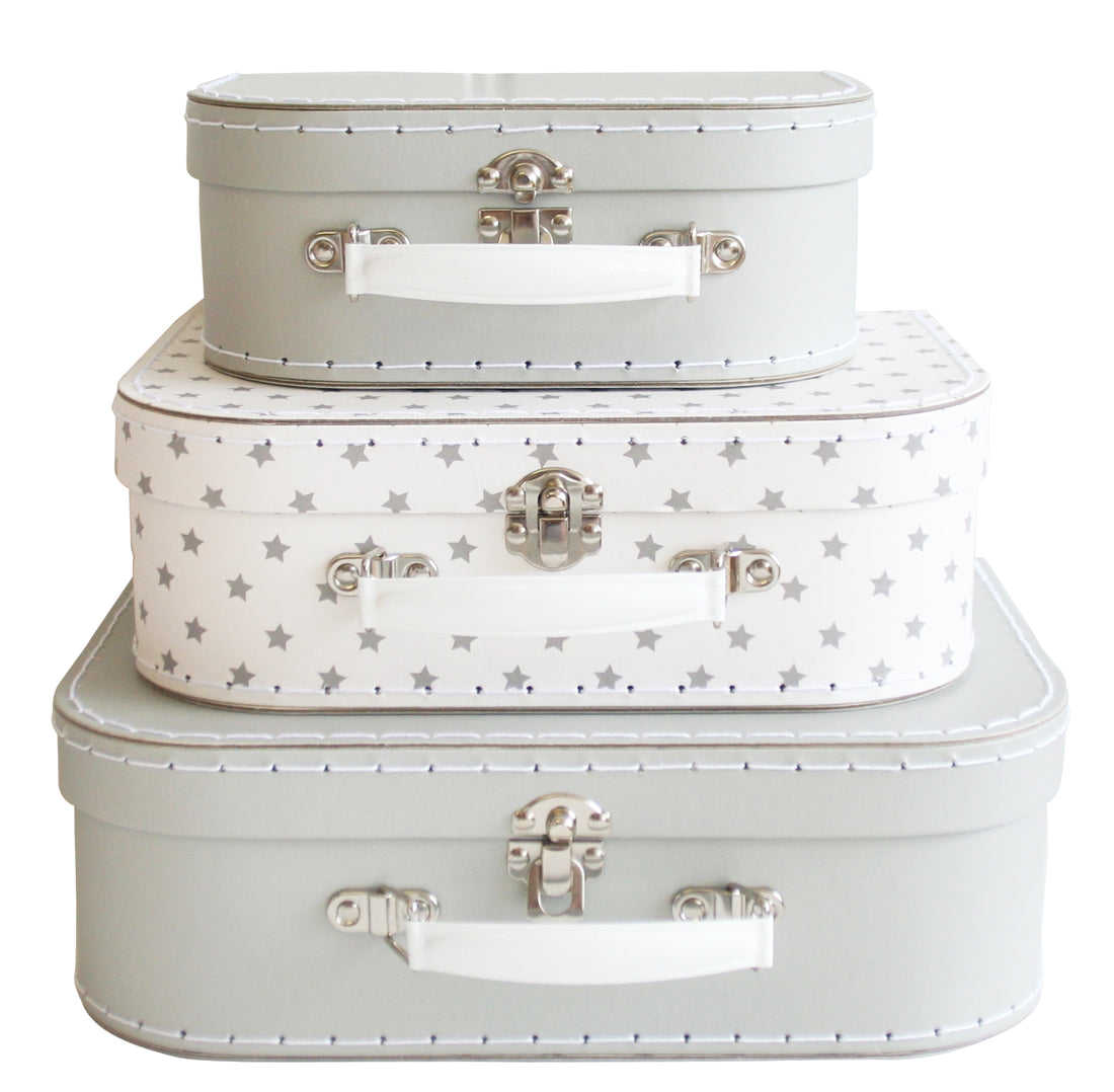 carrying case starry night small
