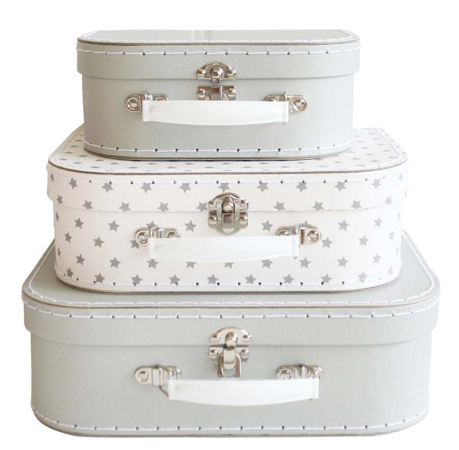 carrying case starry night small