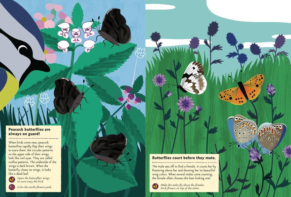 my nature sticker activity: butterflies of the world