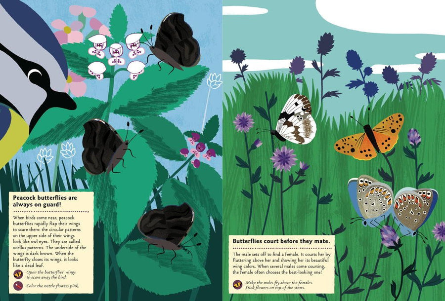 my nature sticker activity: butterflies of the world