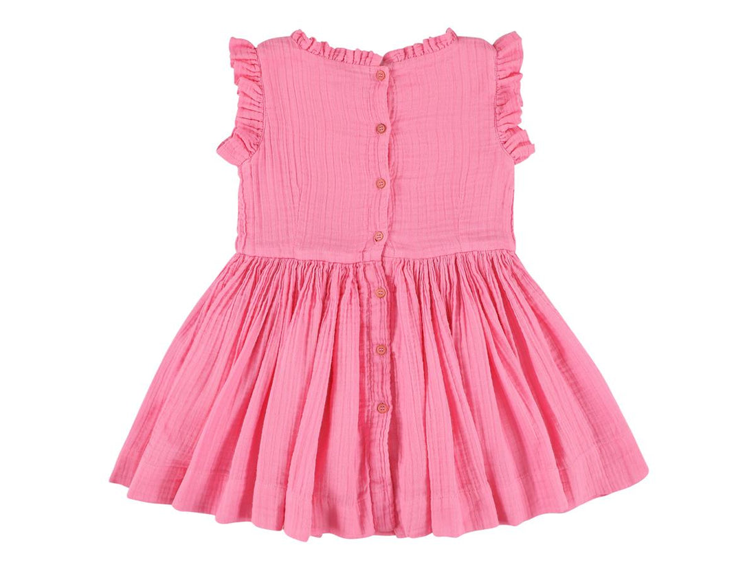 polly geni dress