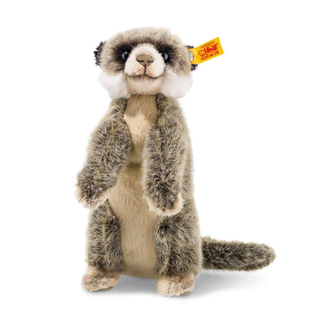meerkat baby