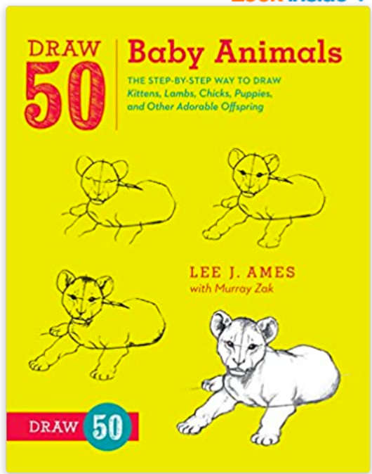 draw 50 baby animals