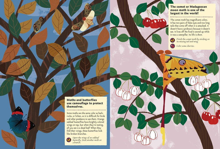 my nature sticker activity: butterflies of the world