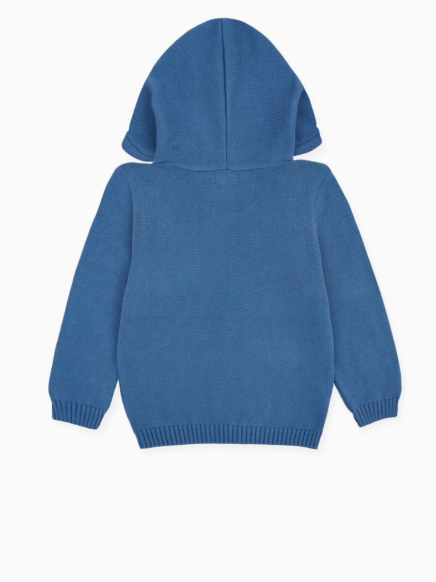 leo hoodie jumper blue